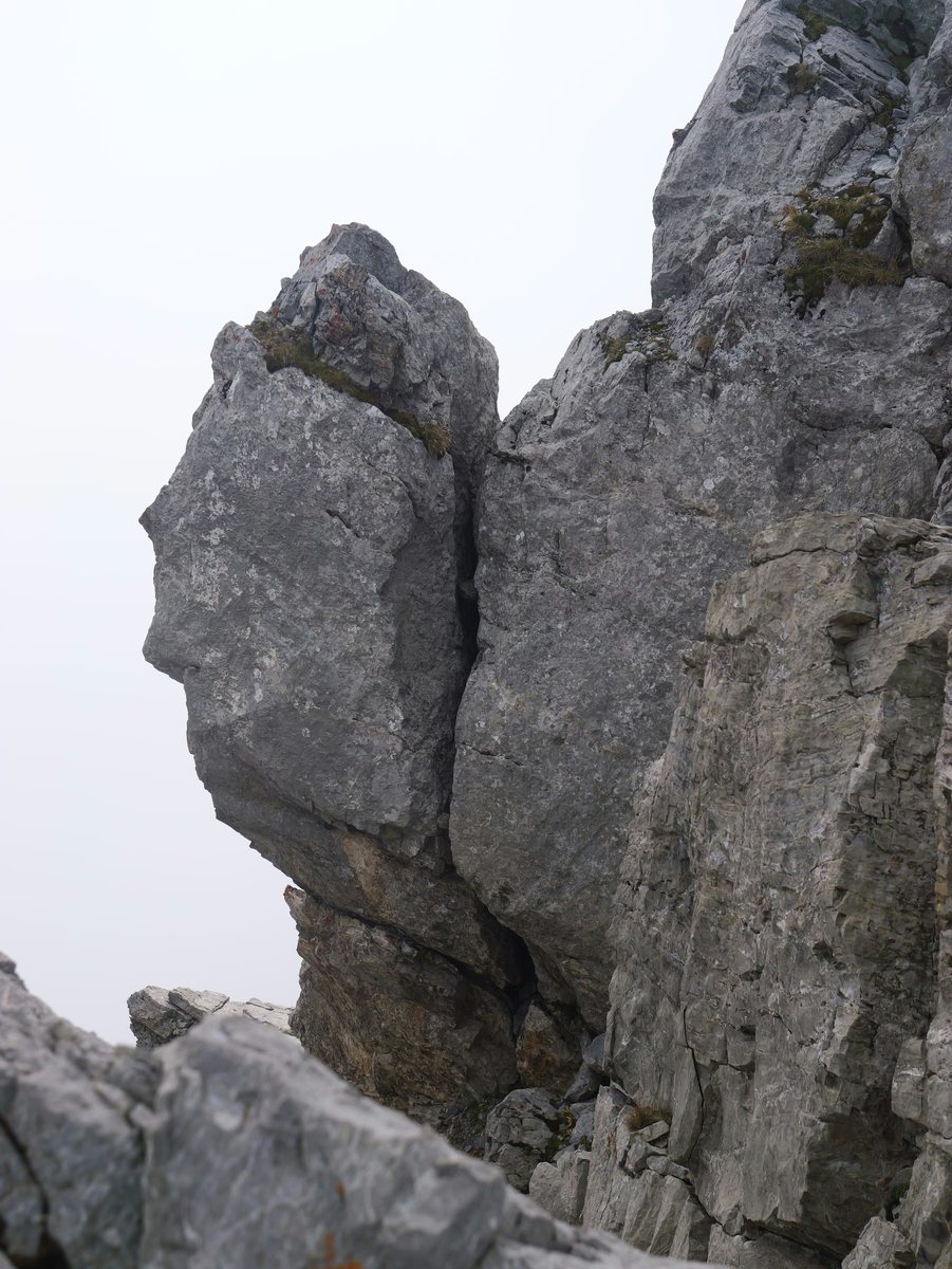 Kalkfelsturm, dessen Umriss an ein Gesicht im Profil erinnert