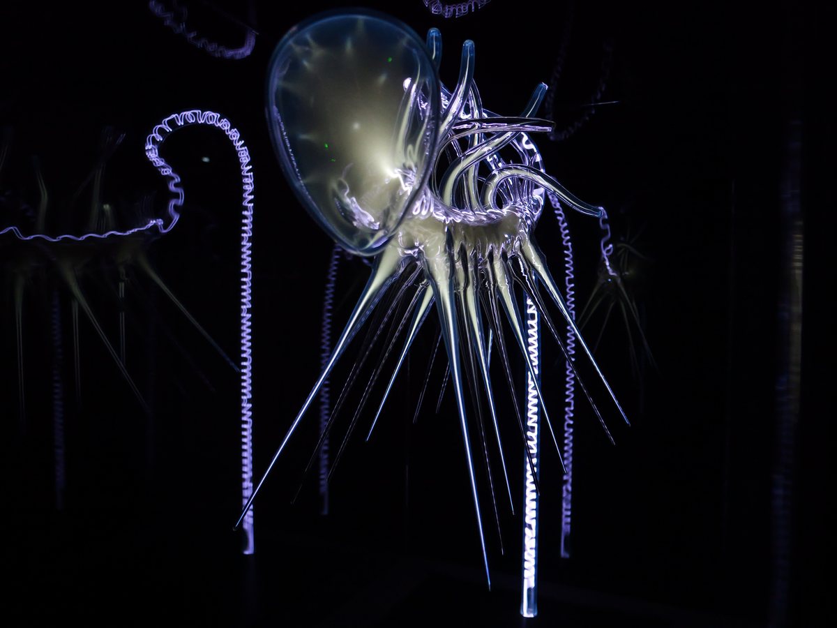 Leuchtende Lichtinstallation in Form einer Qualle vor schwarzem Hintergrund