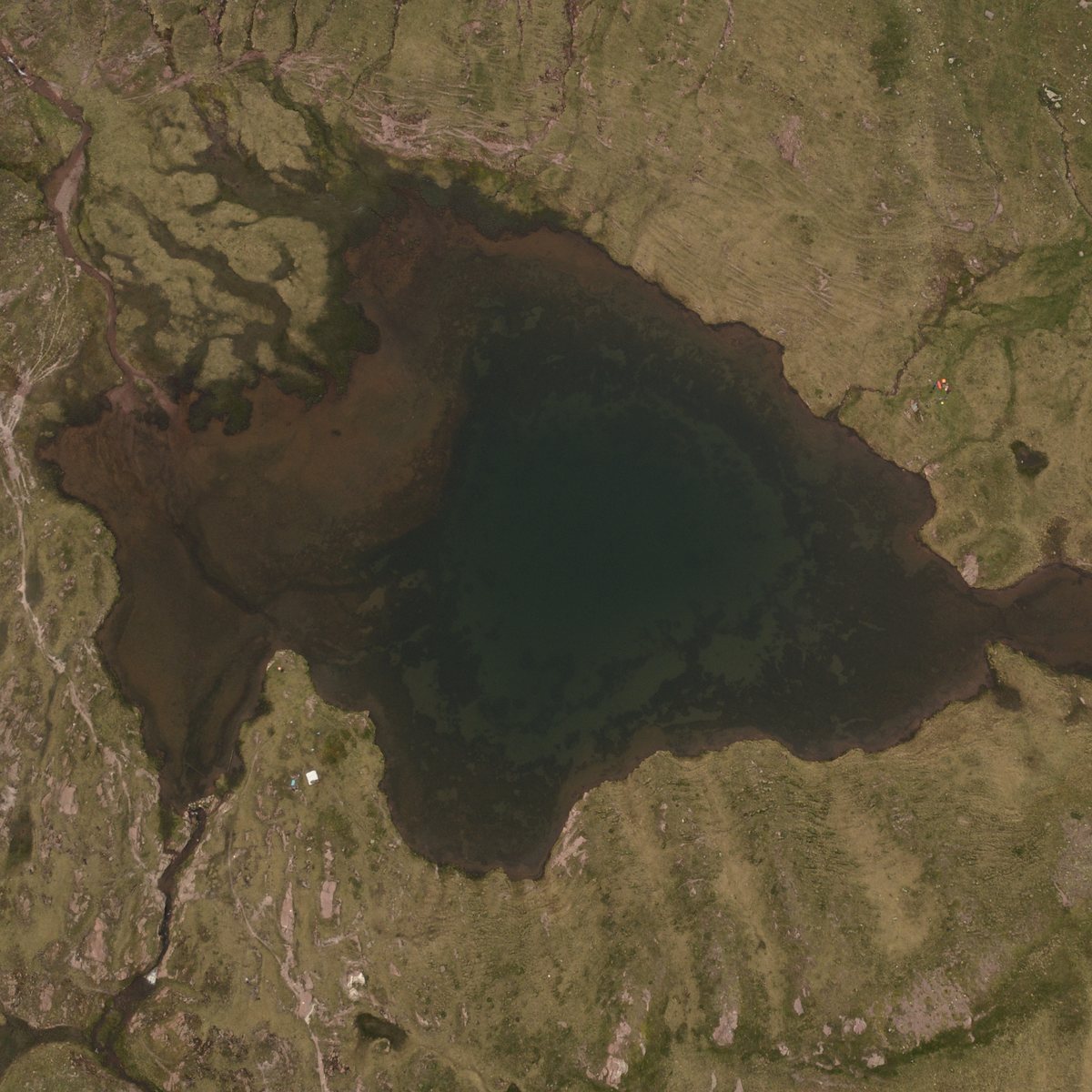 Luftbild eines dunklen Moortümpels in brauner Alpwiese