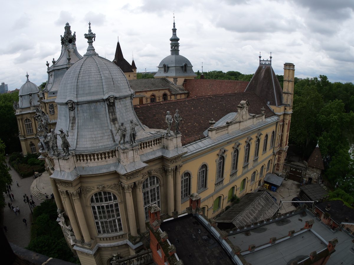 Burg Vajdahunyad von oben durch ein Weitwinkelobjektiv, Kuppeln und Türme unter grauem Himmel